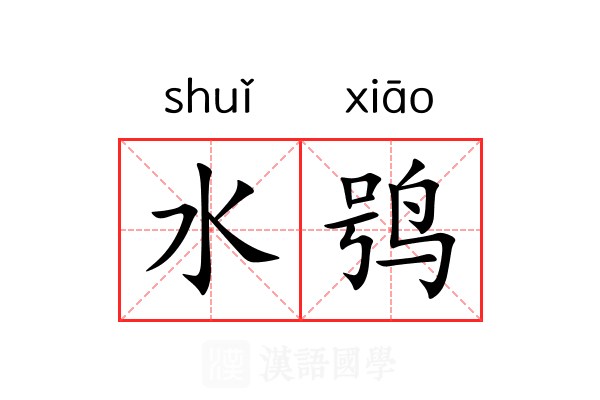 水鸮