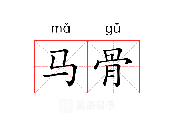 马骨 马骨
