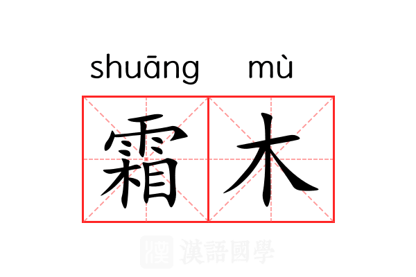 霜木 霜木