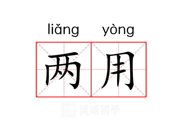 两用
