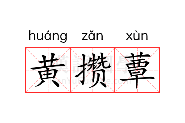 黄攒蕈 黄攒蕈