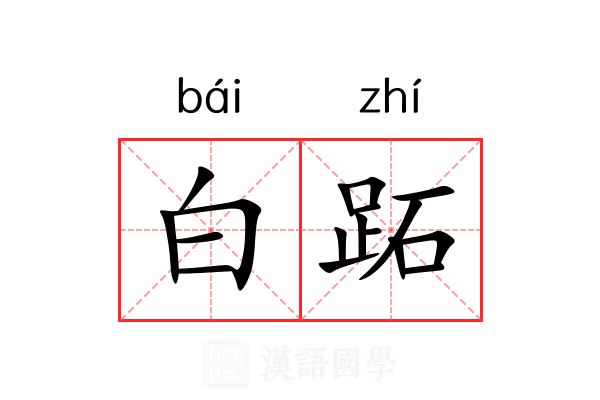 白跖 白跖