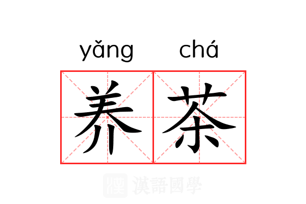 养茶 养茶
