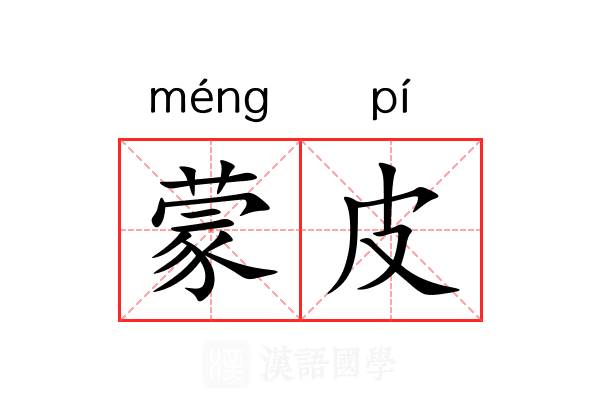 蒙皮 蒙皮