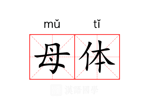 母体 母体