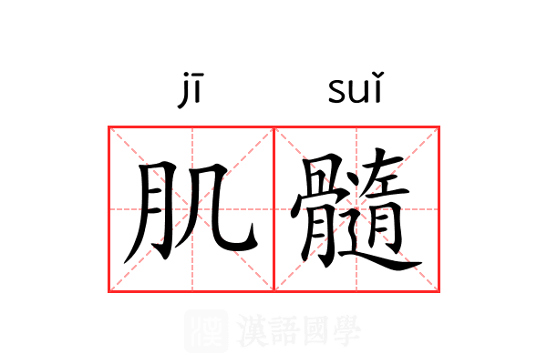 肌髓