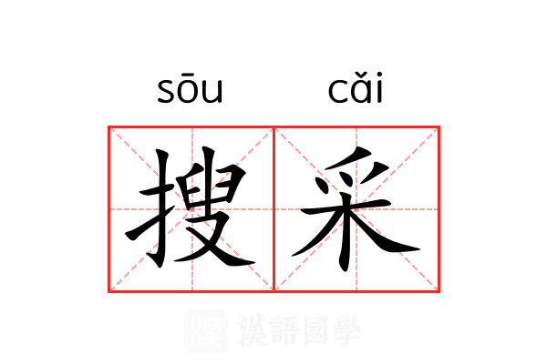 搜采 搜采