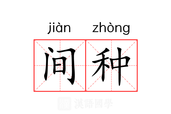 间种