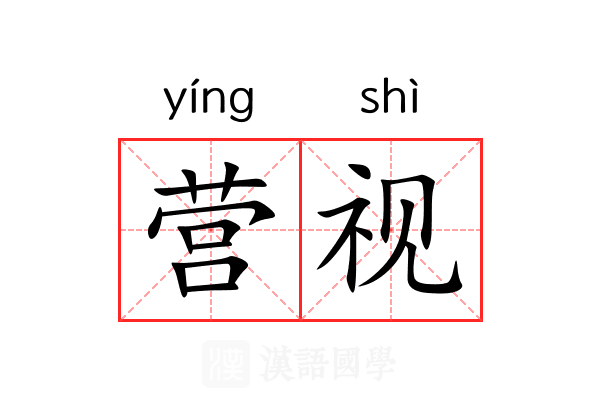 营视 营视