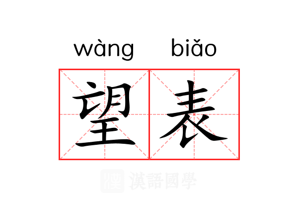 望表 望表