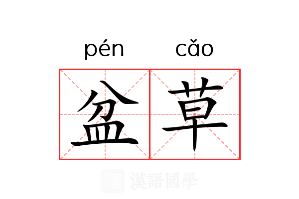 盆草