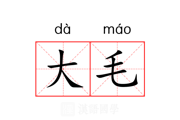 大毛 大毛