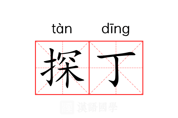 探丁 探丁