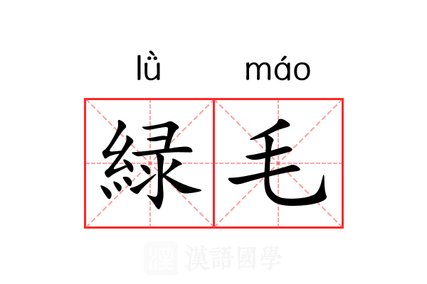 緑毛 緑毛