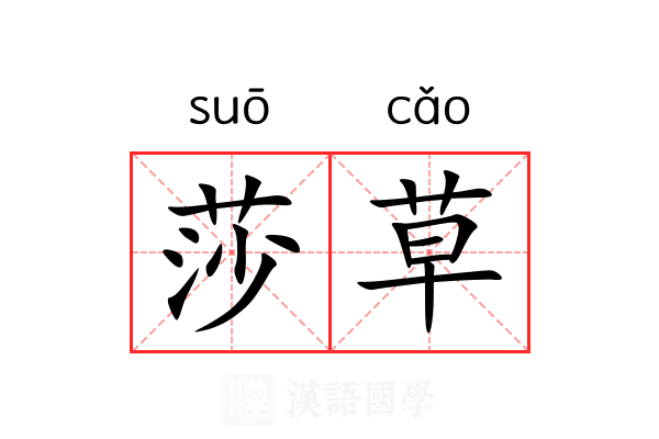 莎草 莎草
