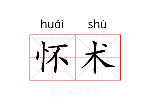 怀术