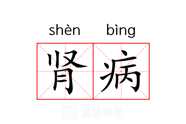 肾病