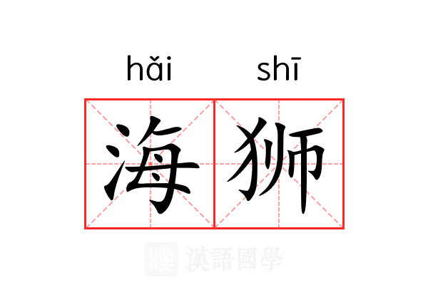海狮 海狮