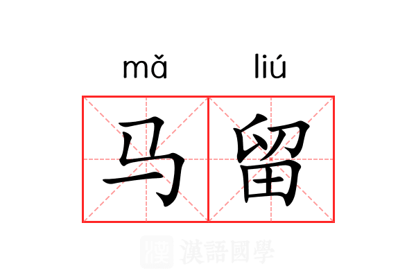 马留 马留