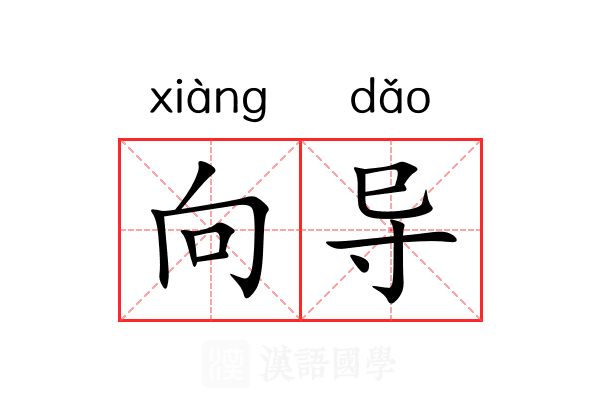 向导