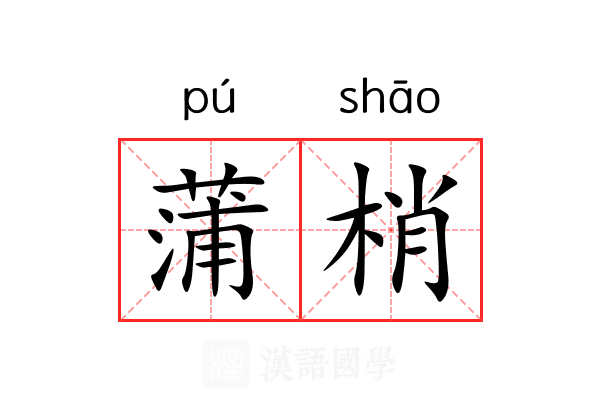 蒲梢