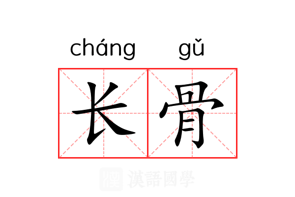 长骨 长骨