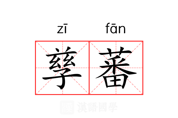 孳蕃