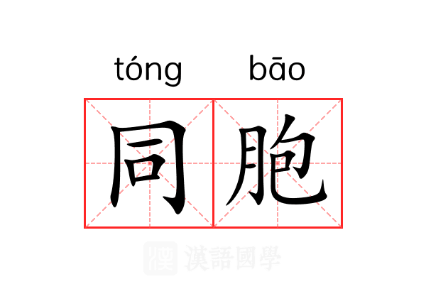 同胞