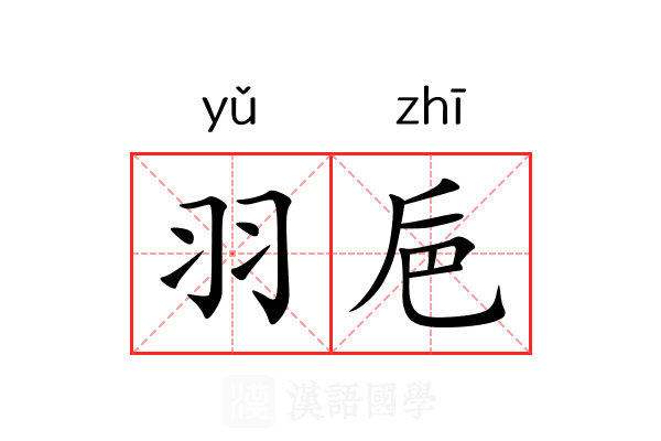 羽巵
