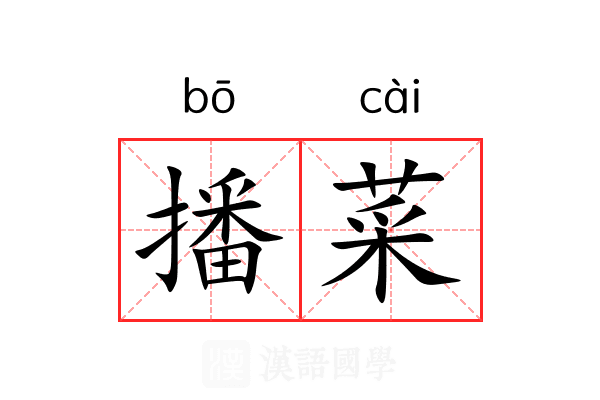 播菜
