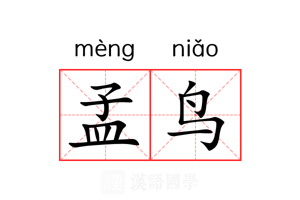 孟鸟