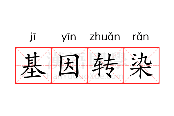 基因转染 基因转染