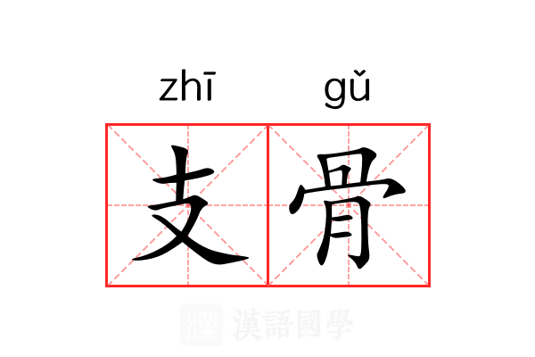 支骨 支骨