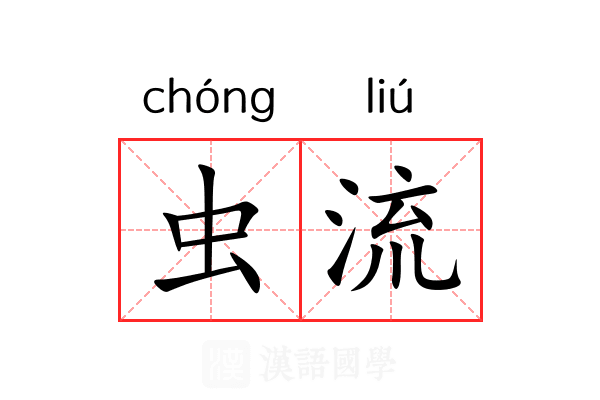 虫流 虫流
