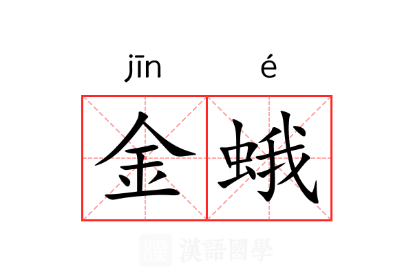 金蛾