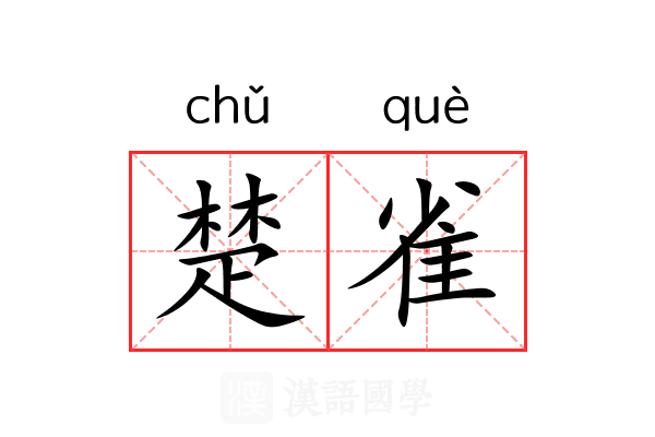 楚雀 楚雀