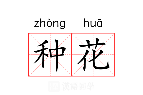 种花 种花