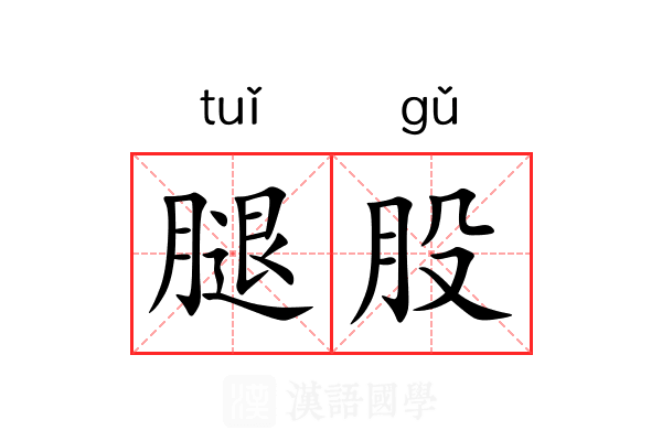 腿股