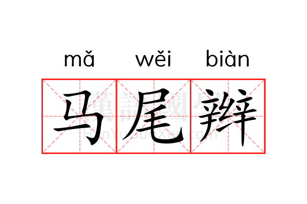 马尾辫