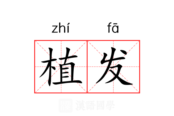 植发