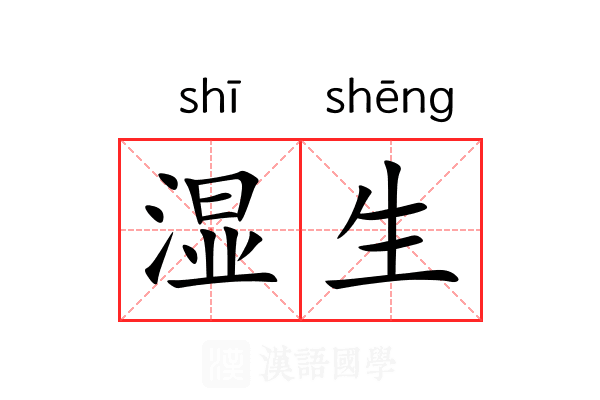 湿生