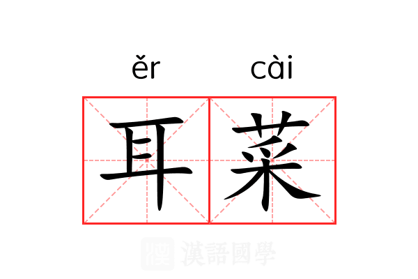 耳菜 耳菜