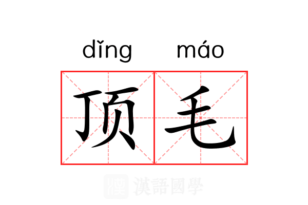 顶毛 顶毛