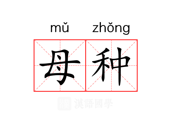 母种 母种