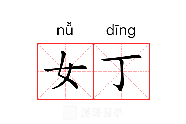 女丁 女丁