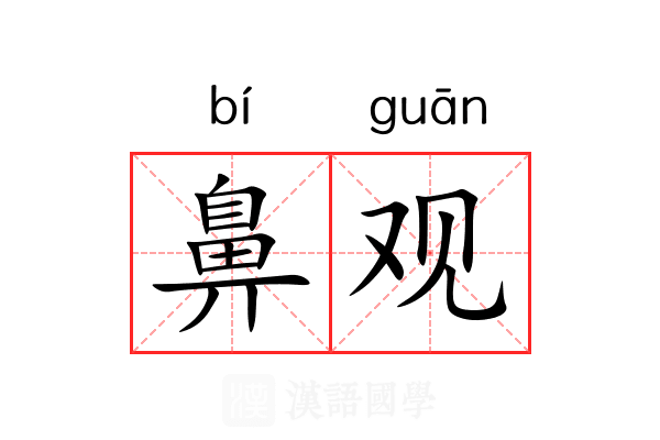 鼻观