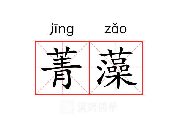 菁藻 菁藻