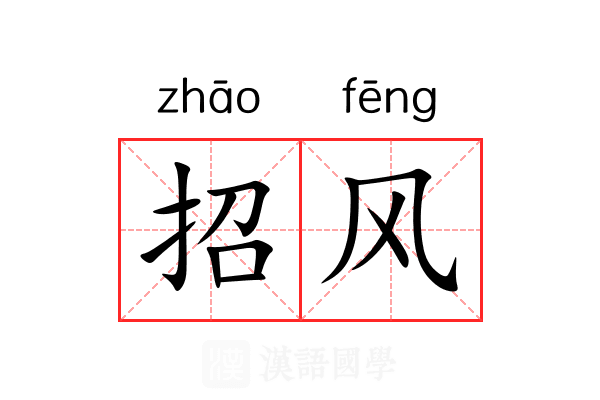 招风