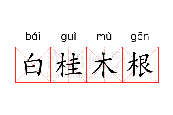 白桂木根 白桂木根