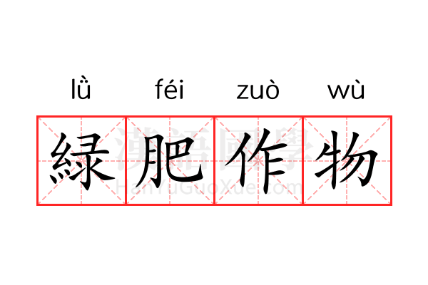 緑肥作物 緑肥作物
